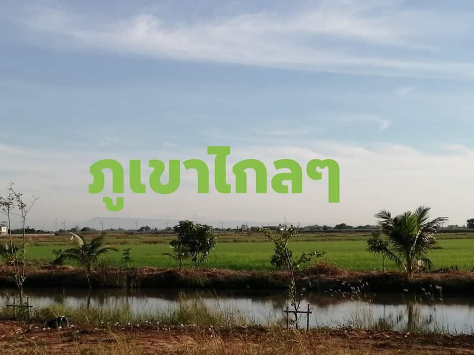 ที่ปลูกบ้านสวนหรือทำการค้า อ.บางน้ำเปรี๊ยว จ.ฉะเชิงเทรา 1-3-79 ไร่