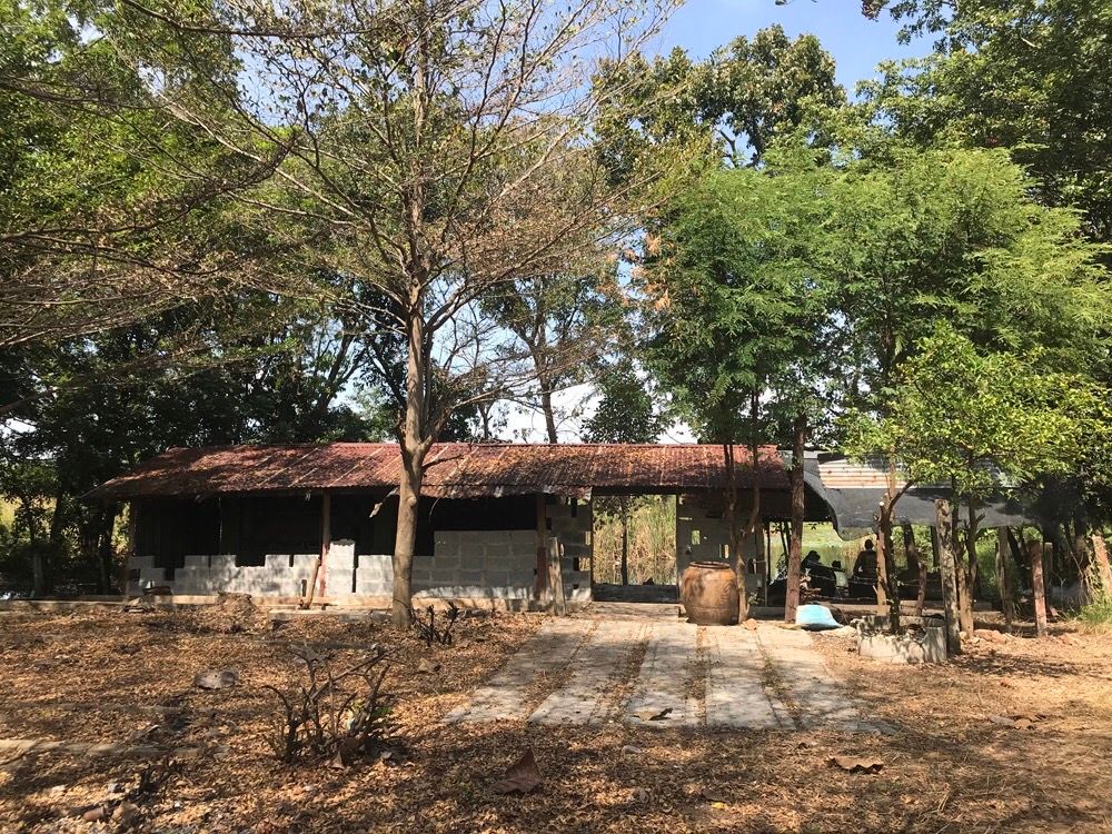ขายที่ดินสระบุรี เป็นสวนมะฮอกกานี ใกล้ DD.ปาร์ค ทะเลน้ำจืด หนองแค สระบุรี 10-1-88