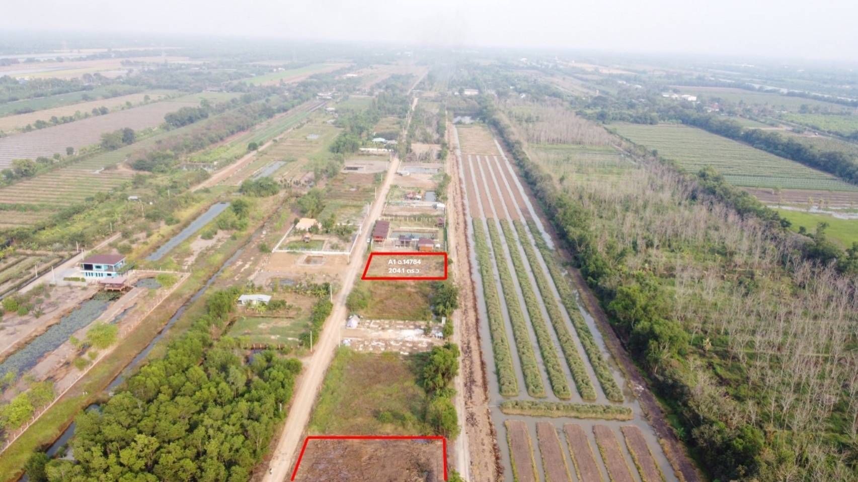 ขายที่ดินปทุมธานี แปลงสวย บรรยากาศดี ใกล้โรงเรียนคลอง11 ศาลาครุ หนองเสือ