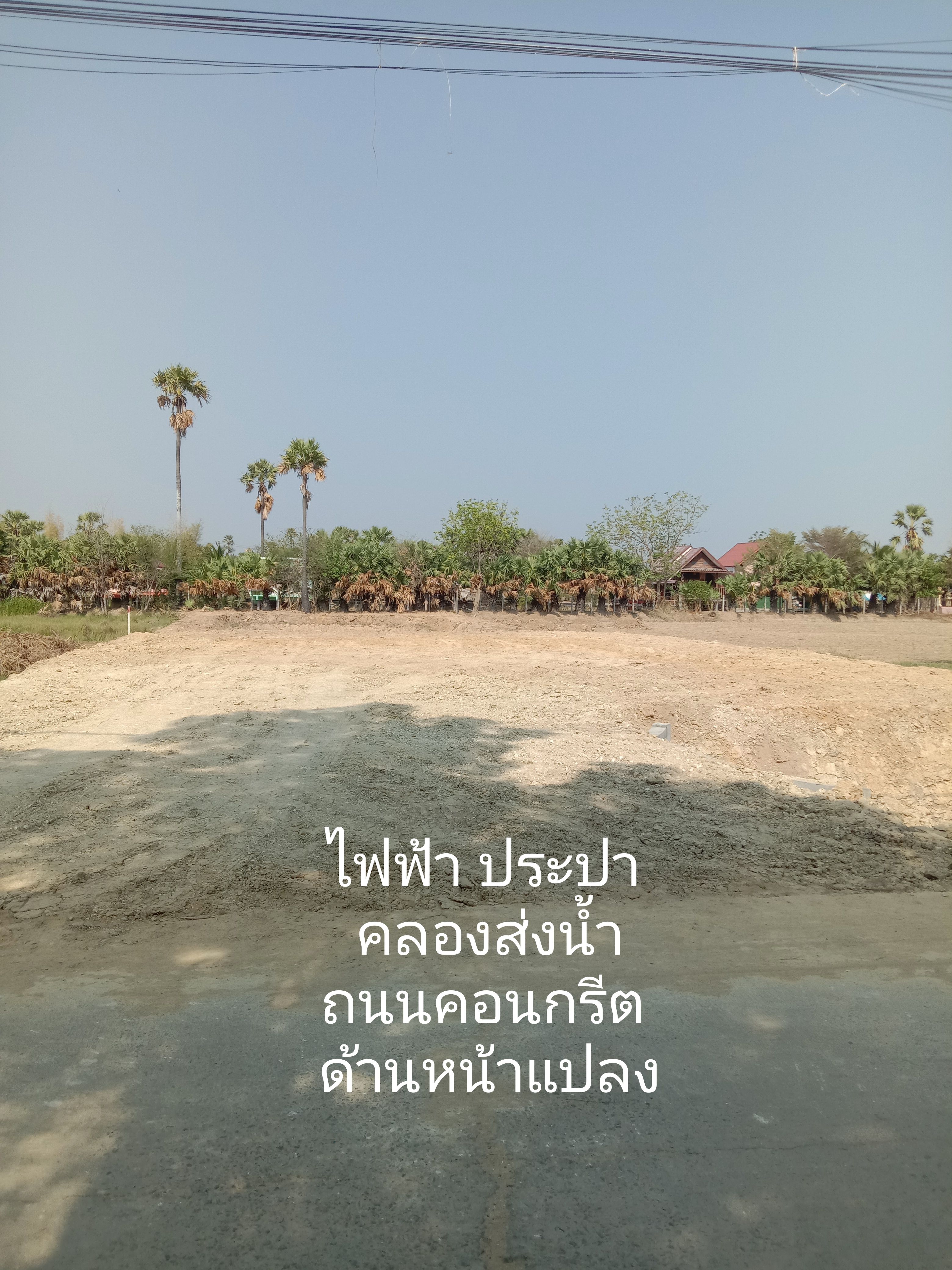 ขายที่ดินเมืองเพชรบุรี 1 ไร่