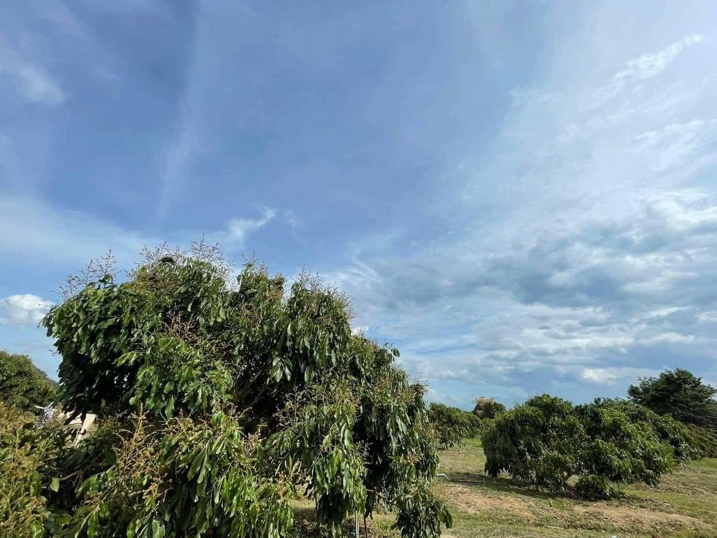 ขายที่ดินจันทบุรี โป่งน้ำร้อน 22-2-27