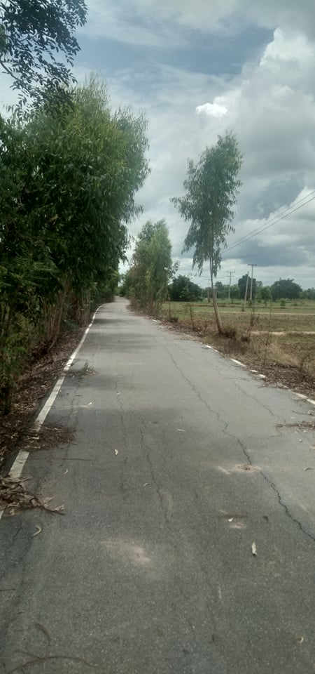 ขายที่ดินพิจิตร ตะพานหิน 66-1-80ตารางวา