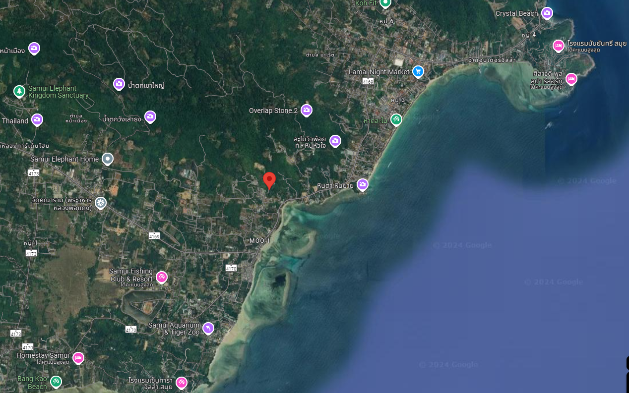ขายที่ดินสุราษฎร์ธานี อำเภอเกาะสมุย ที่ดิน น.ส.3 บรรยากาศดี วิวสวย น่าลงทุน 