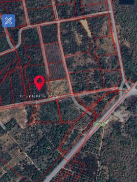 ขายที่ดิน บ้านโฮ่ง ลำพูน 2-0-22.6 ไร่ 