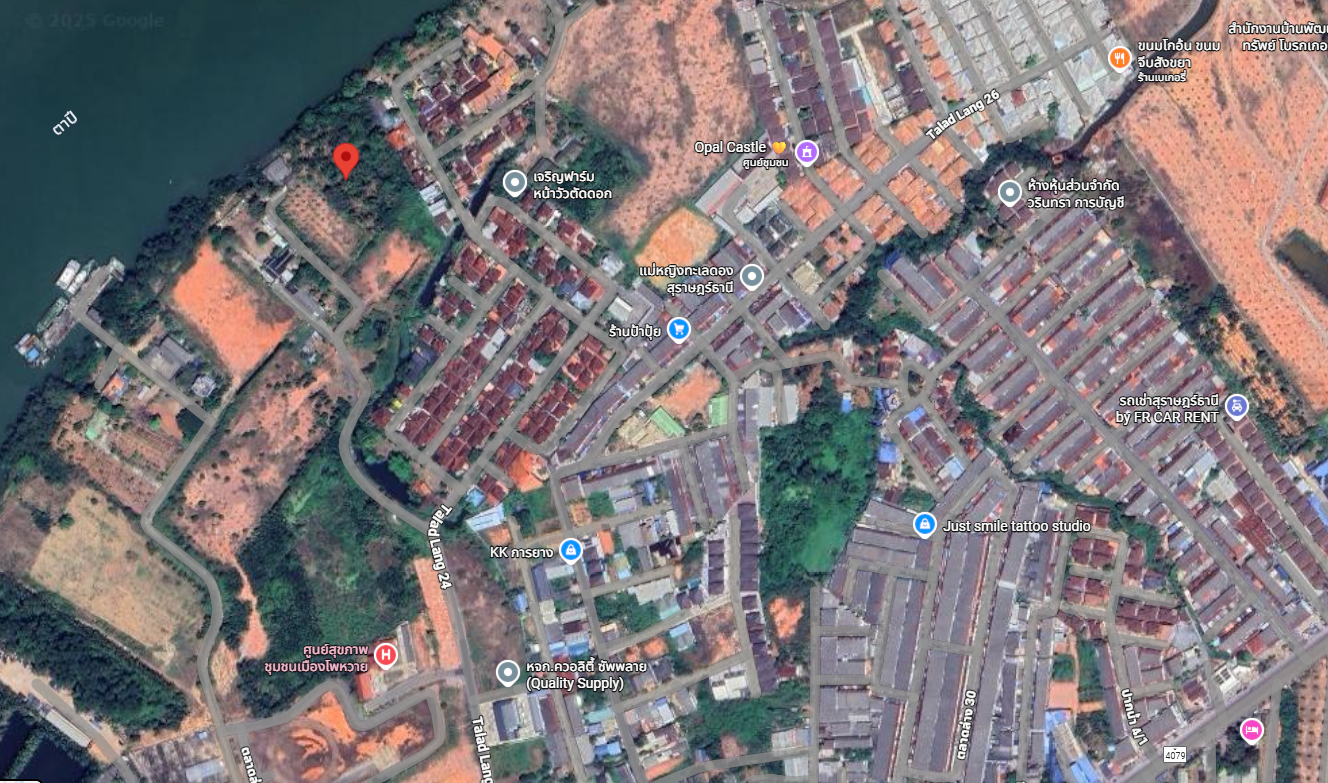ขายที่ดินสุราษฎร์ธานี อำเภอเมือง ที่ดินเปล่า ใกล้ชุมชน