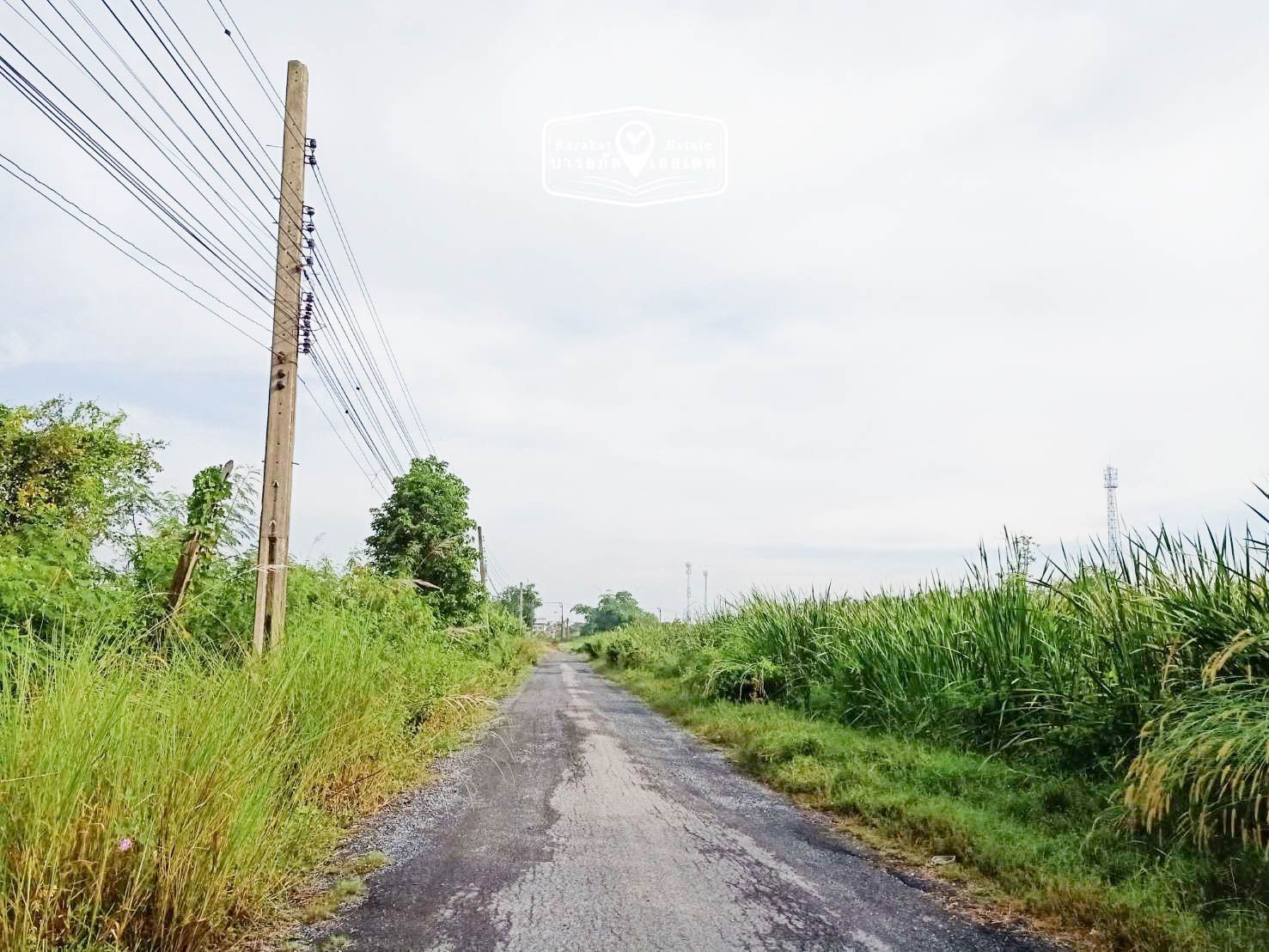 ที่สวยติดถนน เหมาะสำหรับการเกษตร ปลูกบ้าน ซื้อเก็บ เขตหนองจอก จังหวัดกรุงเทพฯ