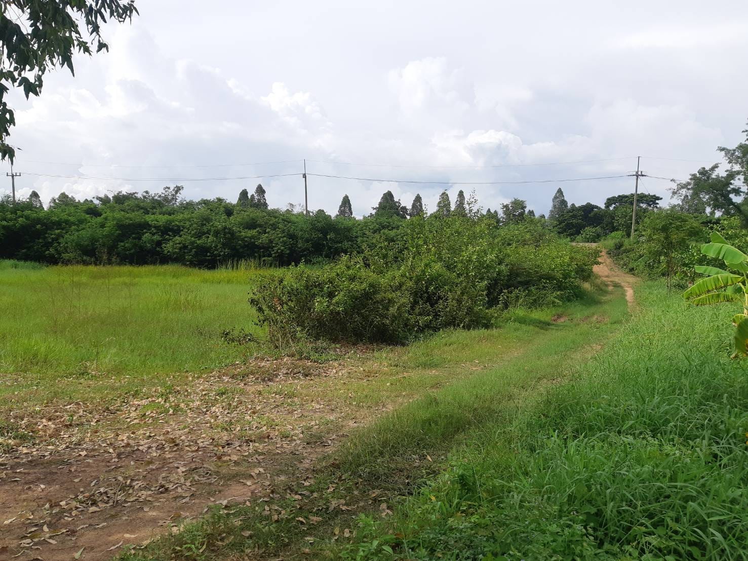 ขายที่ดิน ที่เปล่า เมืองขอนแก่น 4-0-99