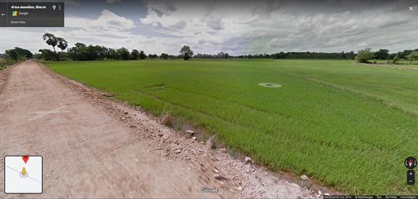 ที่ดินเปล่า วัดสิงห์ ชัยนาท 30-2-53