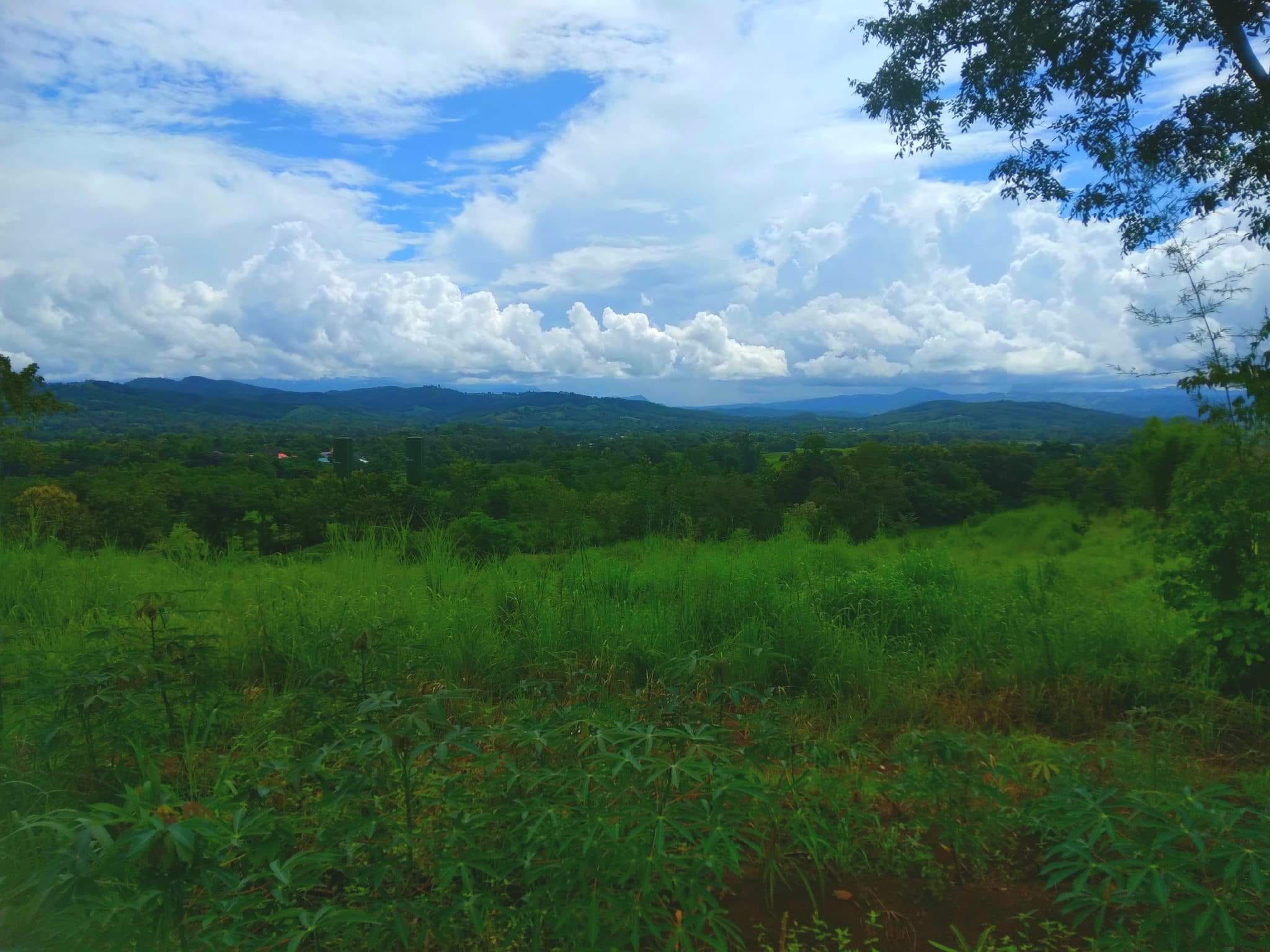 ขายที่ดิน เพชรบูรณ์ 7-2-28 ไร่