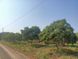 ขายที่ดินจันทบุรี สอยดาว 25ไร่