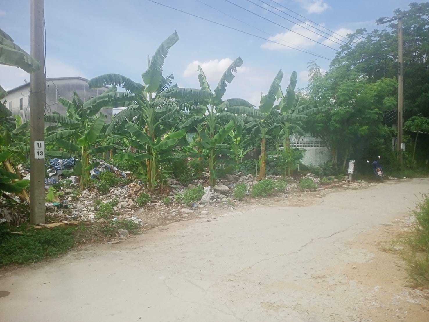 ขายที่ดินย่านบางนา ซอยลาซาล52 ทำเลดี