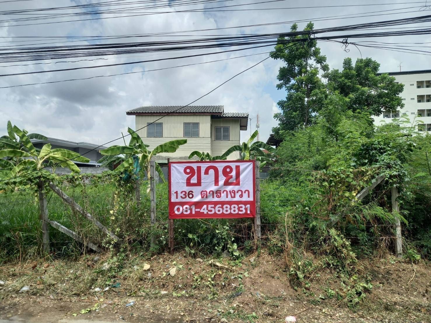 ขายที่กลางเมืองโคราช 136 ตรว.ถมแล้ว