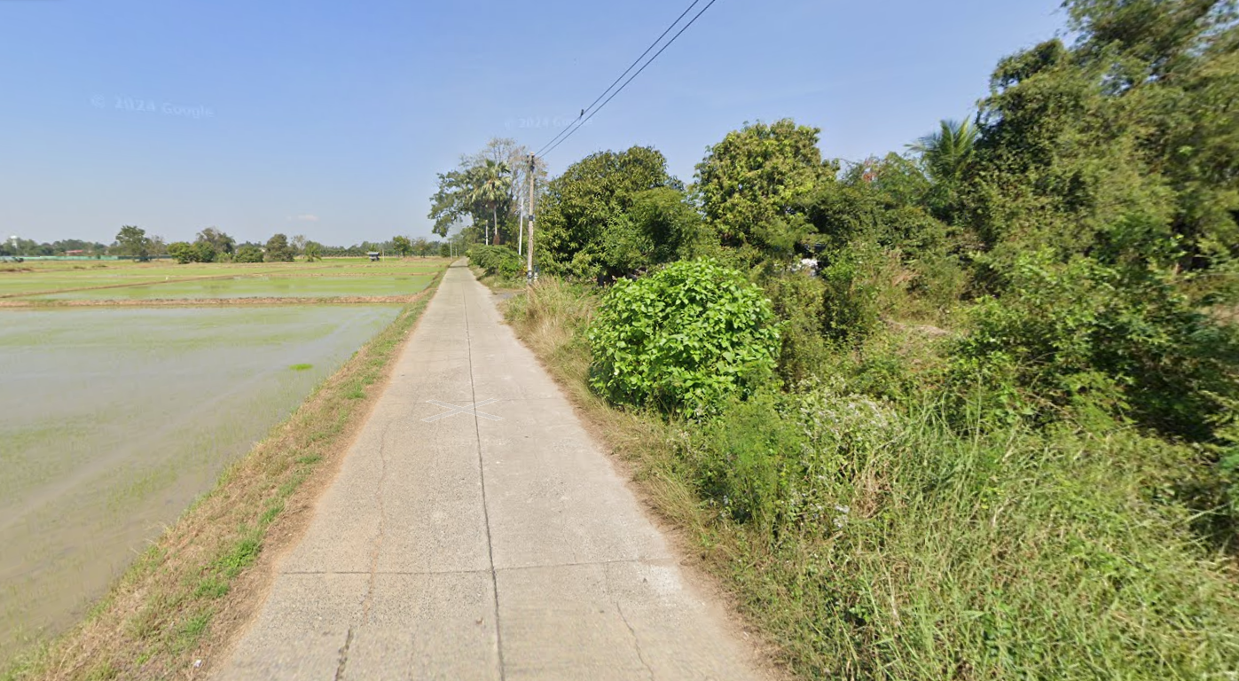 ขายที่ดินพิจิตร อำเภอโพธิ์ประทับช้าง ที่ดินแปลงสวย ทำเลดี อยู่ในชุมชน สัญจรคล่องตัว 