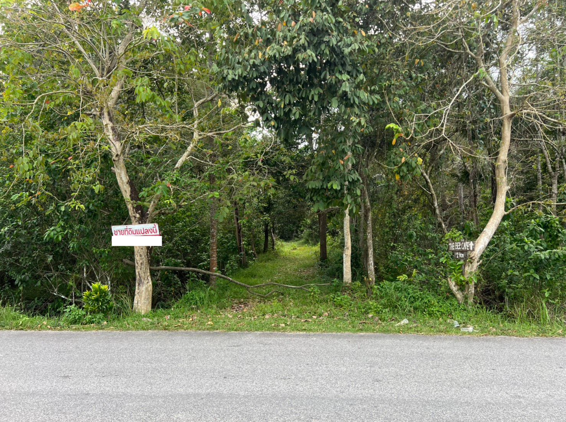 ขายที่ดินสงขลา อำเภอรัตภูมิ ทางเข้าชลประทานท่าชะมวง ด่วน