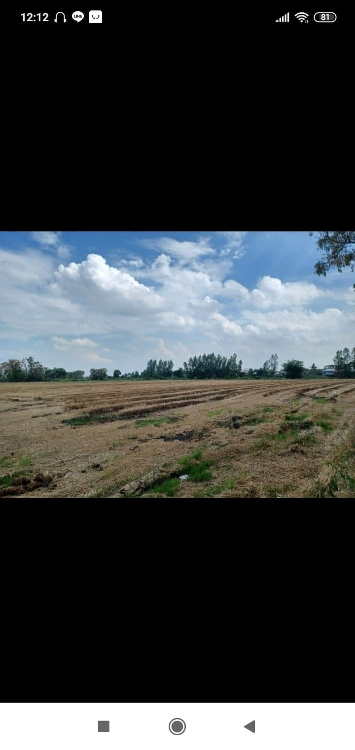 ที่ดินเปล่าพิษณุโลก จ.พิษณุโลก อ.บางระกำ 20 ไร่