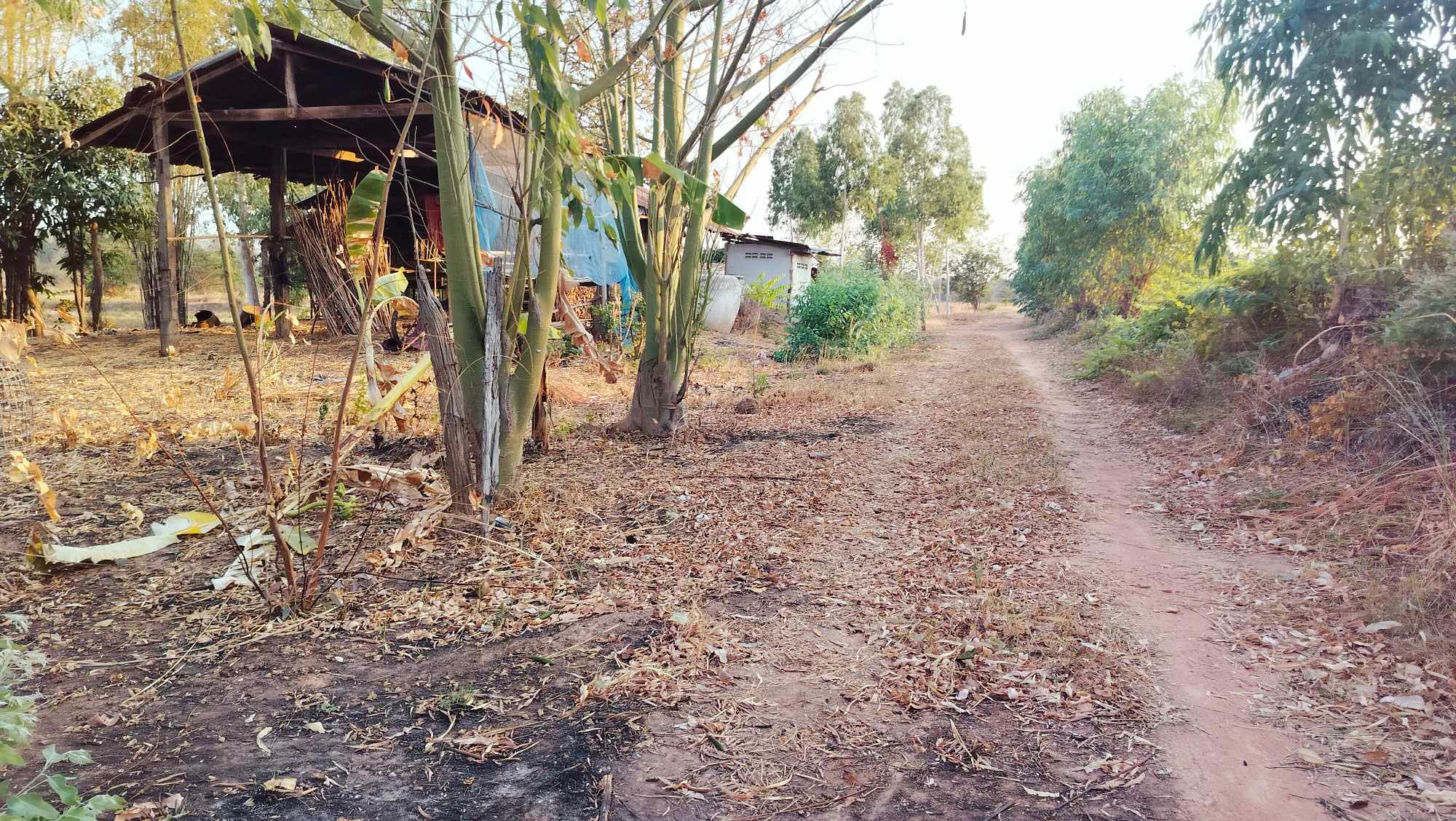 ขายที่ดิน บ้านนาฝาย