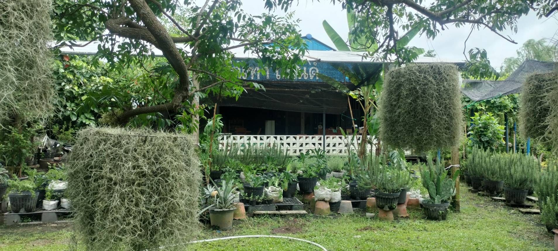 ขายบ้านระยอง อ.เมือง บ้านพร้อมที่ดิน ทำเลสวย บ้านสวยบรรยากาศดี แหล่งอำนวยความสะดวกรอบด้าน 1-1-15 ไร่.