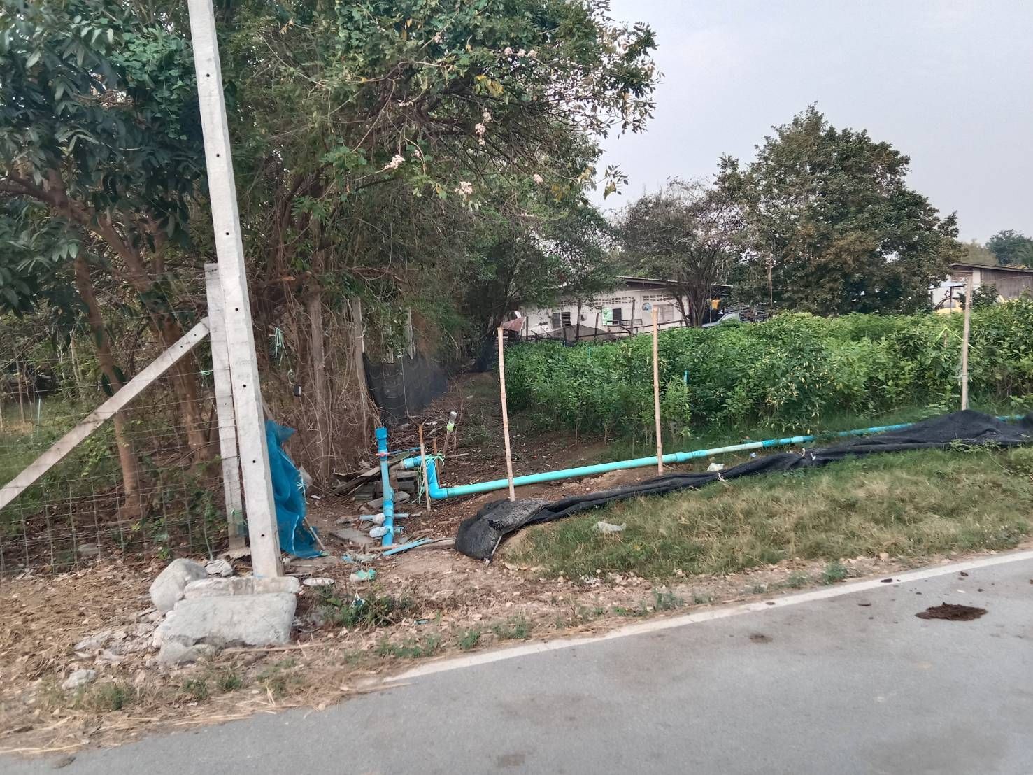 ขายที่ดิน กำแพงแสน นครปฐม ด้านหน้าติดถนน อยู่ในแหล่งชุมชน