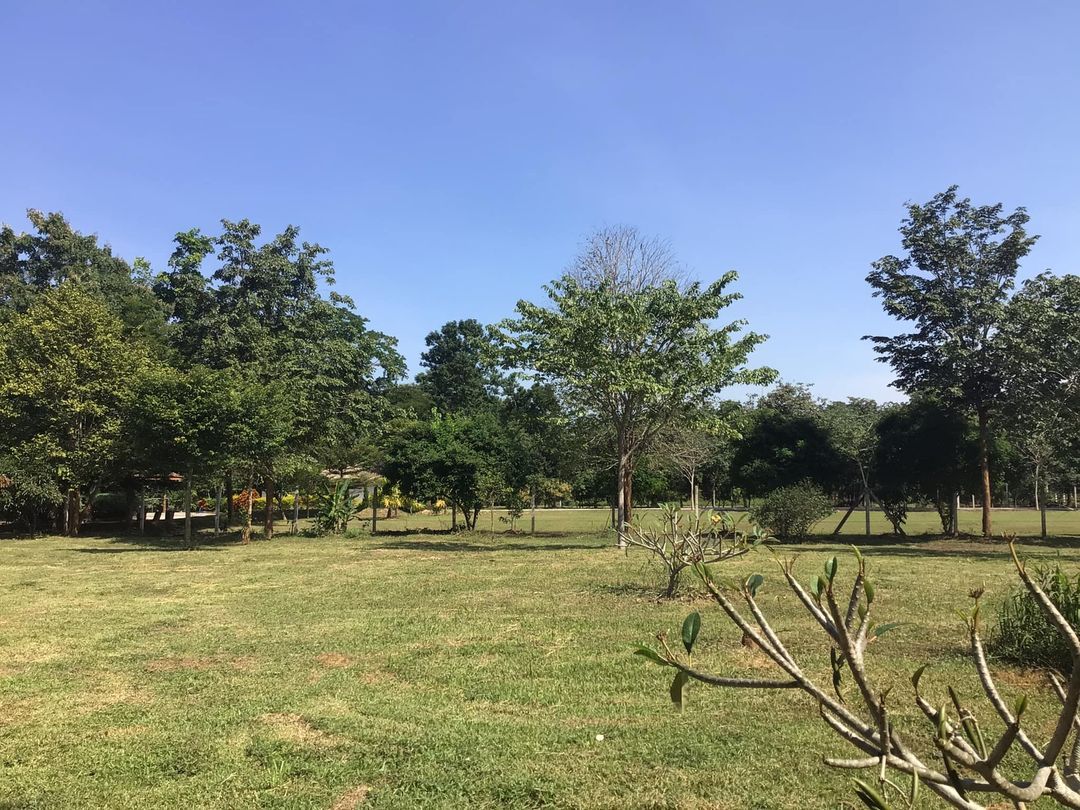 📌หากคุณกำลังมองหาสถานที่พักผ่อน ท่ามกลางธรรมชาติ พร้อมความสะดวกสบาย บ้านสวนริมแควน้อยแห่งนี้คือคำตอบ 🌿✨  💰 ราคาสุดคุ้ม 6️⃣.5️⃣ ล้านบาท (สนใจทักมาคุยได้) ที่ดินสวยแบบนี้หายาก! สนใจรีบติดต่อก่อนพลาดโอกาสทอง