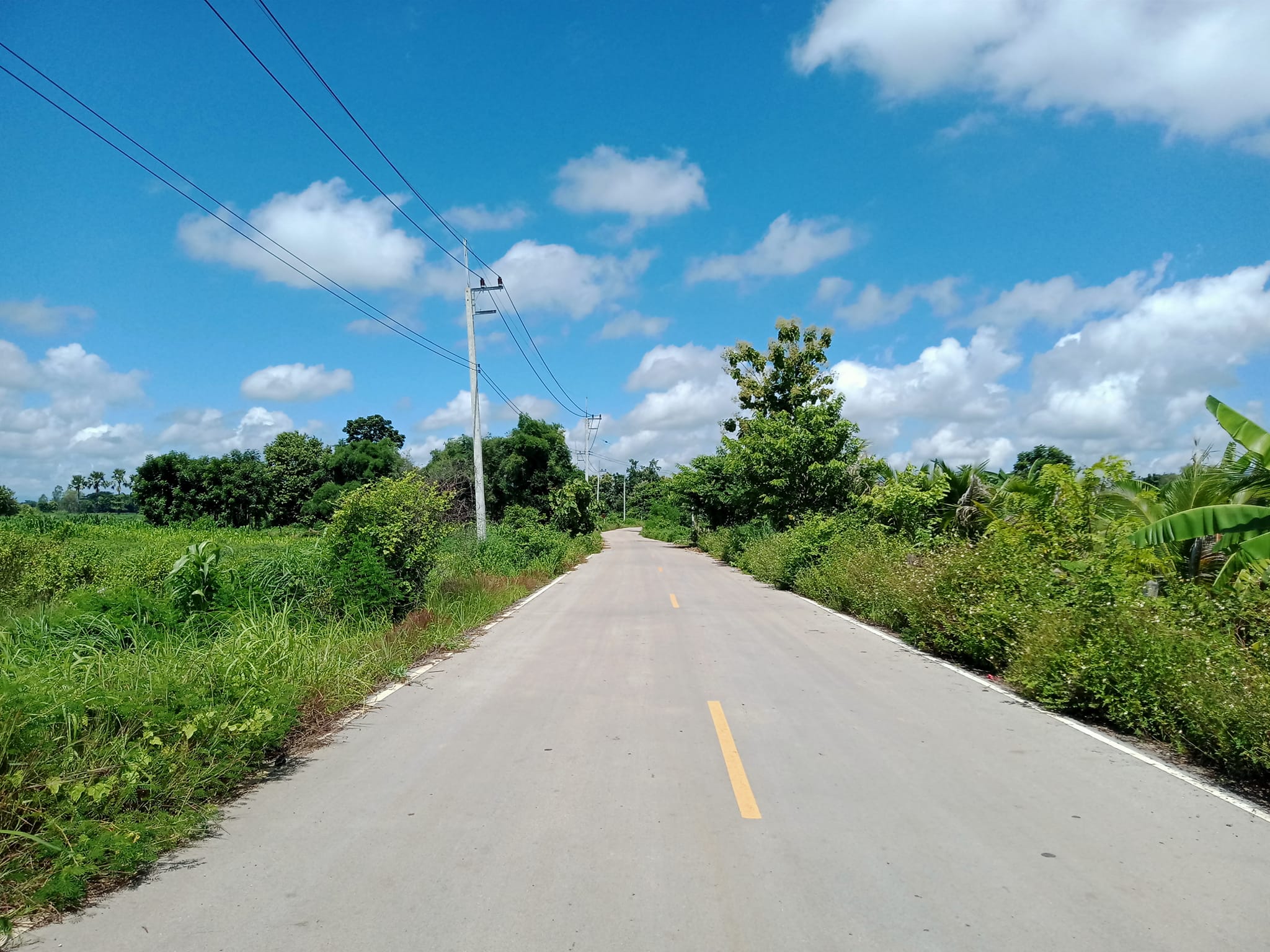 ขายที่ดินลำปาง แม่ทะ 2-3-23