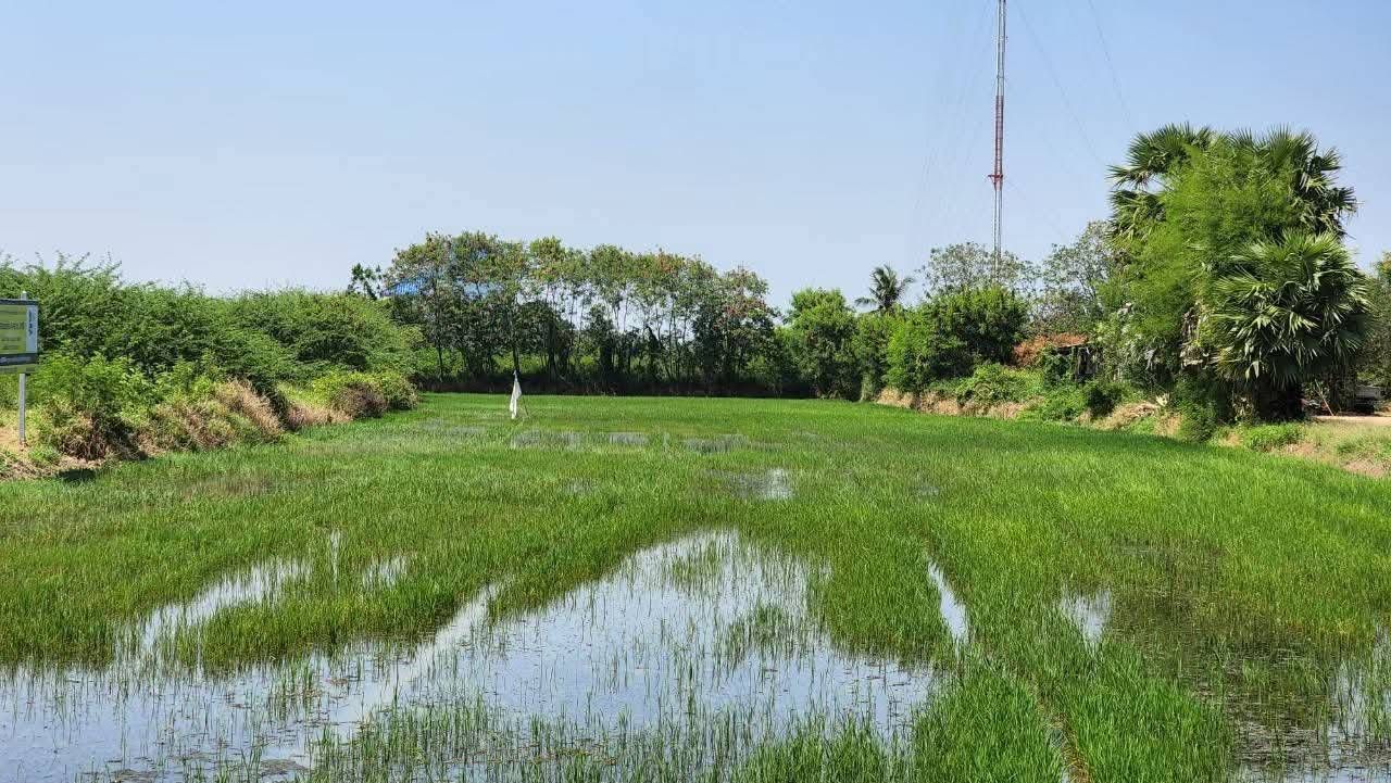 ขายที่ดินเพชรบุรี ท่ายาง ที่ดินเปล่า ใกล้ชายหาดปึกเตียน 
