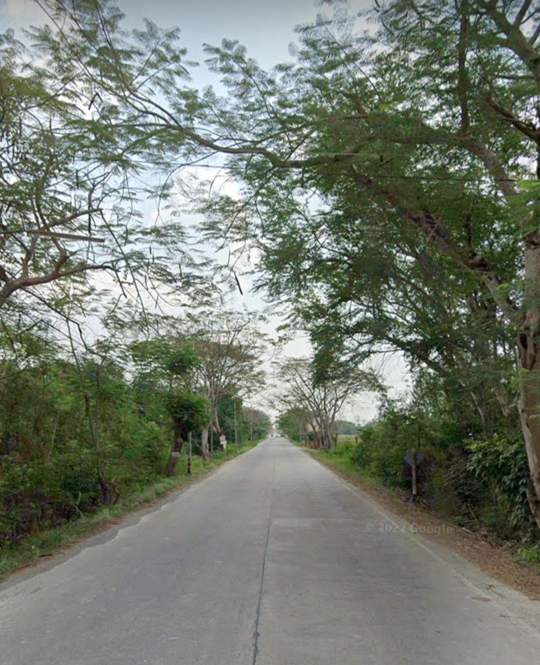 ขายที่ดินปทุมธานี ลำลูกกาคลอง12 0-3-0