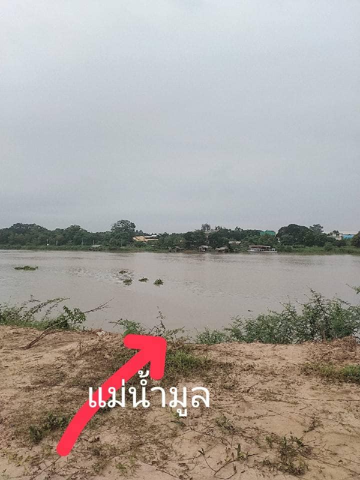 ที่ดินติดน้ำมูล อุบลราชธานี 5-0-96 ไร่
