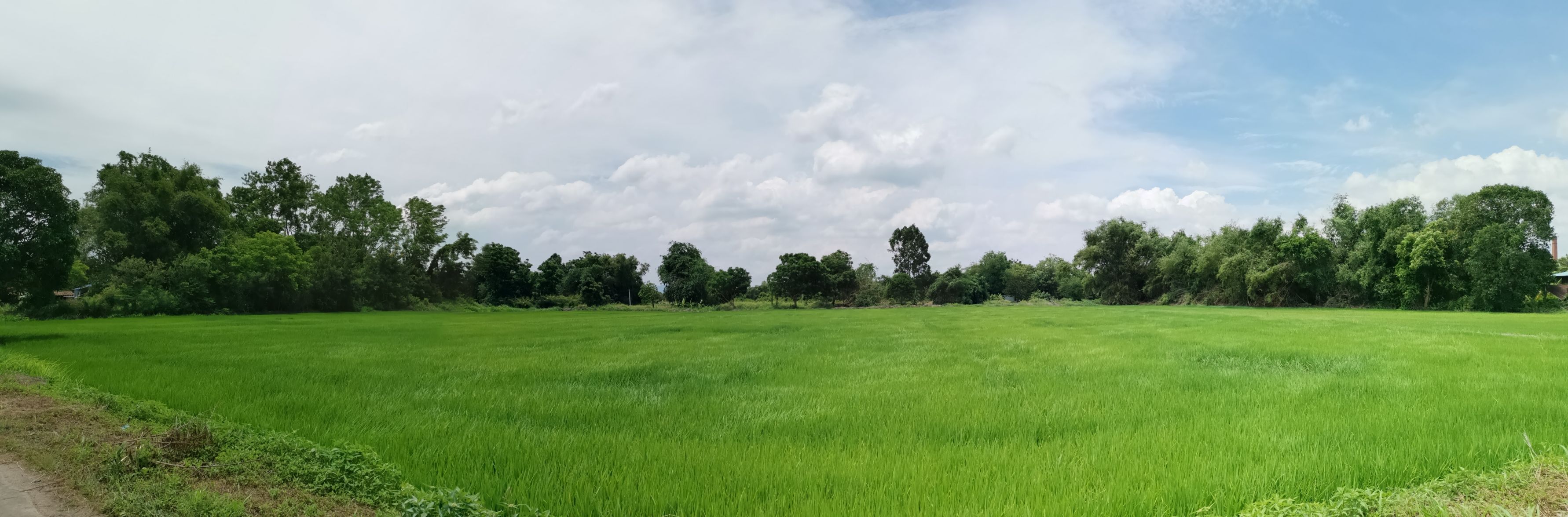 ที่ดิน
