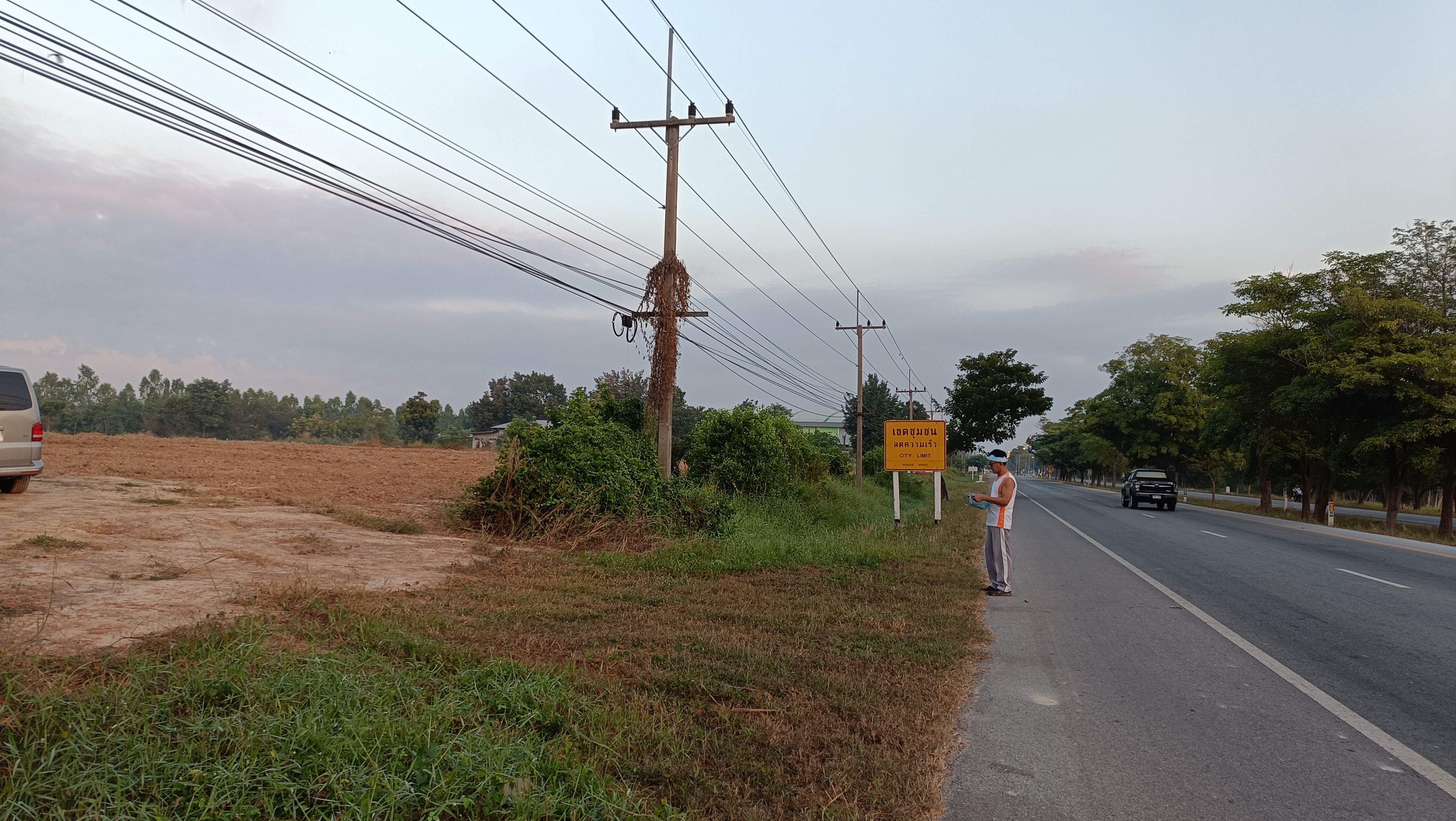 ชายที่ดิน 5 ไร่ ดินถนนใหญ่ เลขที่ 11