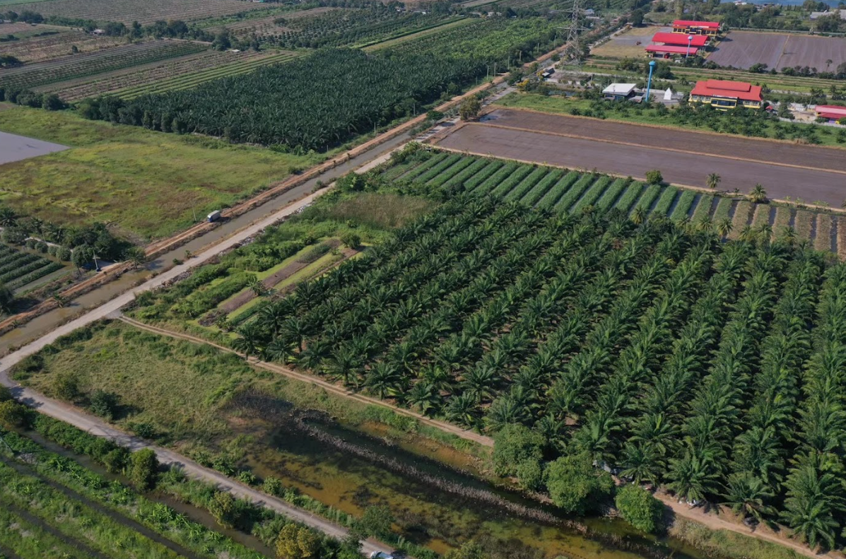ขายที่ดินปทุมธานี หนองเสือ แปลงสวย ติดทางสาธารณะ คลอง 10 ซอย 13