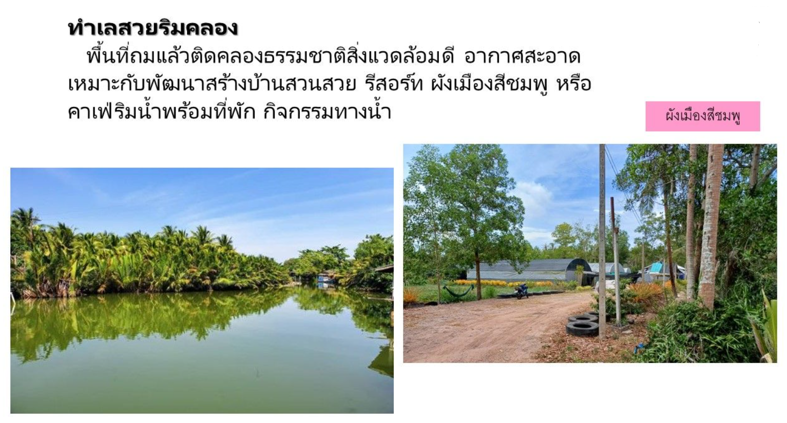 บางหมากเขต อ.เมือง ทำเลสวย 3 ไร่ 1 งาน ถมแล้ว ทำเลดีติดคลองท่านางสังข์ ธรรมชาติสิ่งแวดล้อมดี  