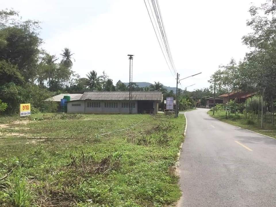 ที่ดิน 54 ตรว.ติดถนนลาดยาง ใกล้ศูนย์ราชการ อ.นาหม่อม จ.สงขลา