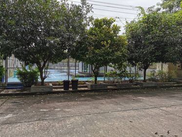 ที่ดิน ซอยราชพฤกษ์ 28 กทม 113 ตร.ว