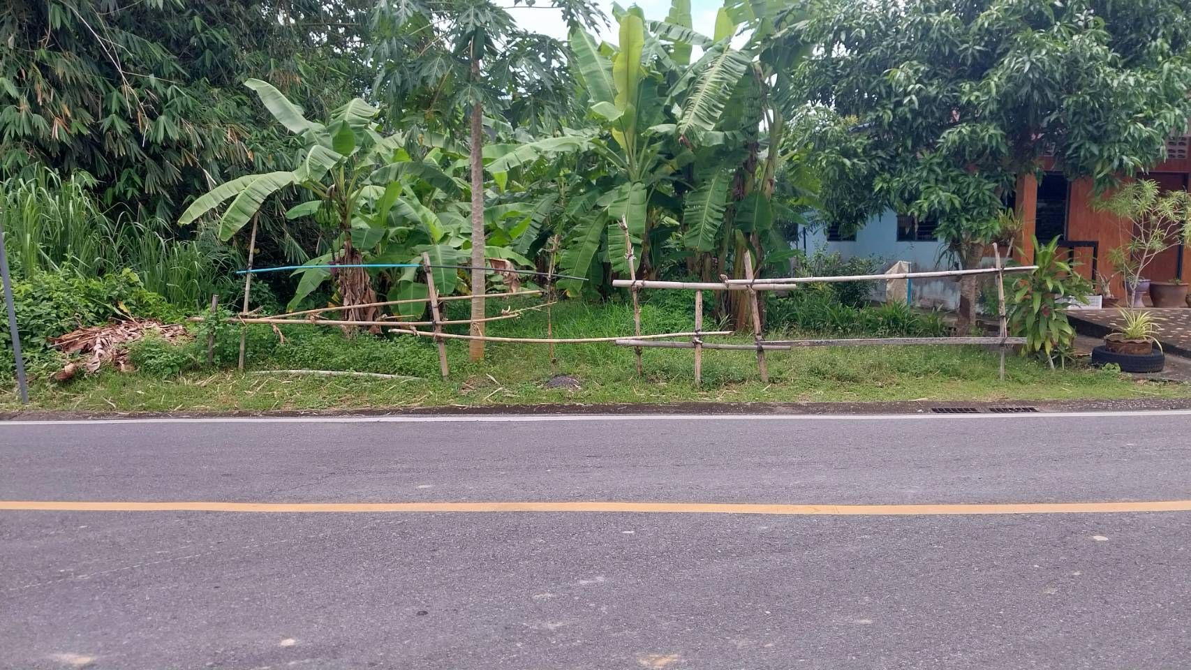 ขายที่ดินพังงา อำเภอเมือง ที่ดินเปล่า