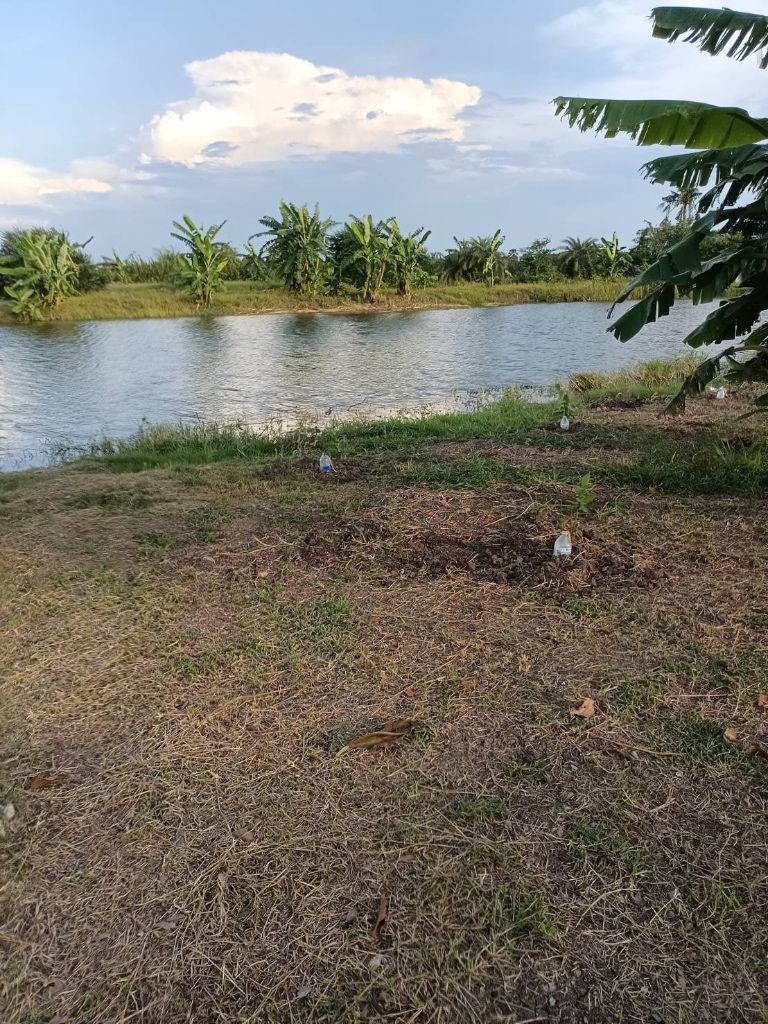 ทำเลทองลาดกระบัง! ขายที่ดินสวย 2 ไร่ 56 ตร.ว. ติดถนนใหญ่ 4 เลนตัดใหม่ ใกล้วัดสุทธโภชน์ ทับยาว