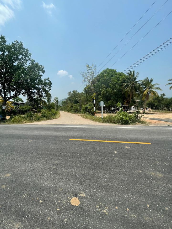 ที่ดินแปลงสวยมาก วังทอง พิษณุโลก 205 ตรว.