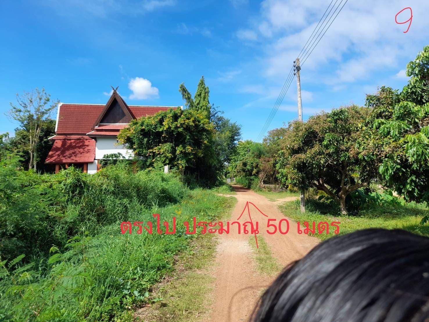 ขายที่สวนลำไย ม.1 ต.เหมืองง่า อ.เมือง จ.ลำพูน 2-1-84 ไร่