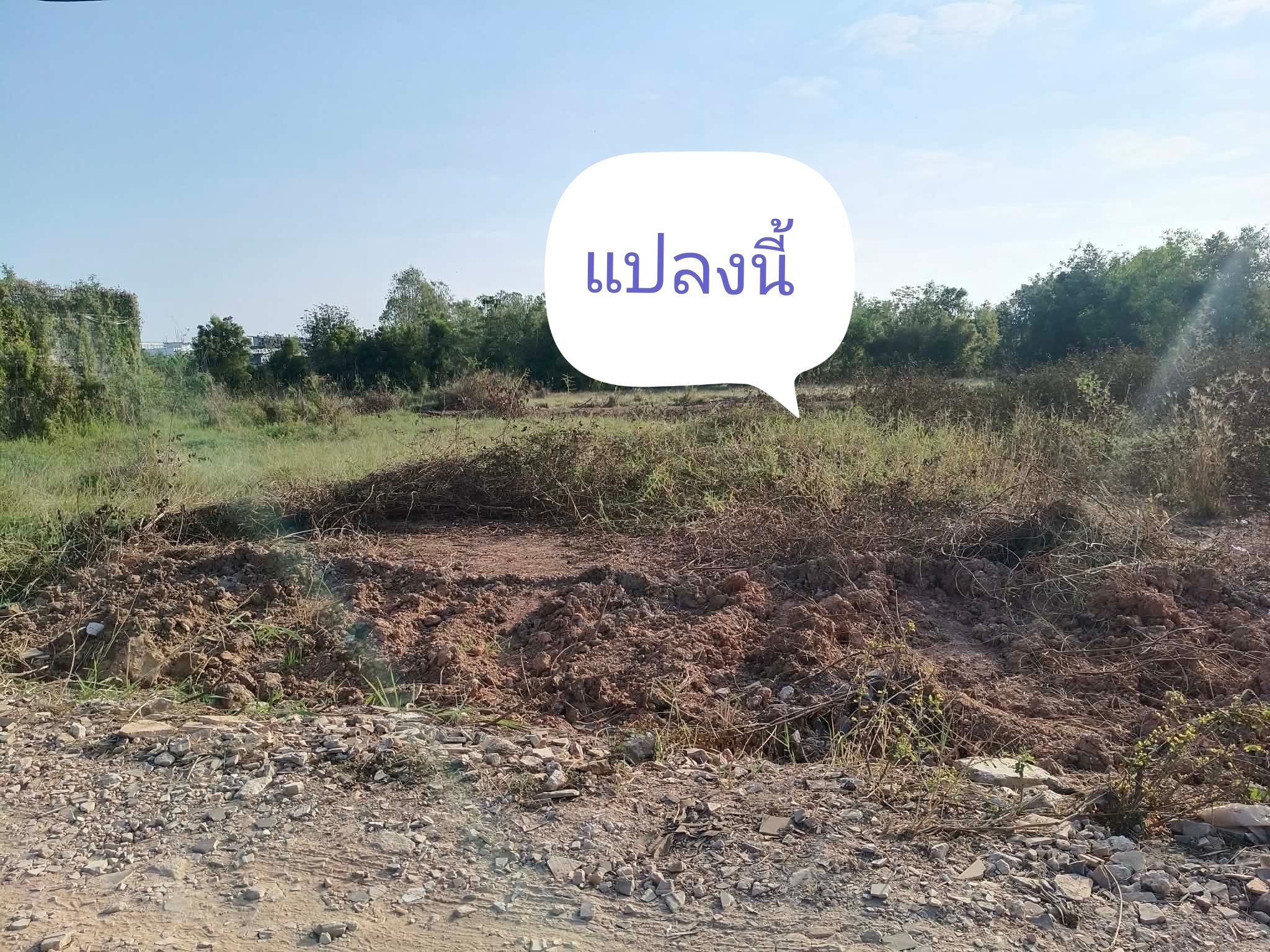 ขายที่ดิน พิษณุโลก อำเภอเมือง ถมบดอัดแล้ว