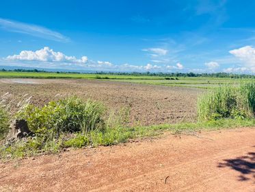 ขายที่ดิน ปราจีนบุรี 4-3-55 ไร่