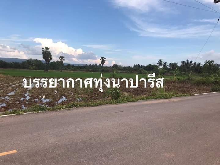ขายที่ดินพิษณุโลก วัฃทอง 1-0-0