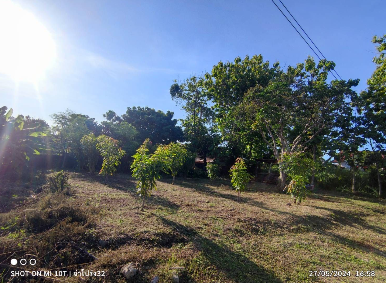 👉 “ที่ดิน 120 ตร.วา ใกล้สุขุมวิท 200 ม. สัตหีบ ขาย 1.8 ล้าน เจ้าของออกค่าโอน
