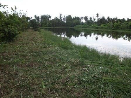 ขายด่วนที่ดินแหลมสิงห์จันทบุรี