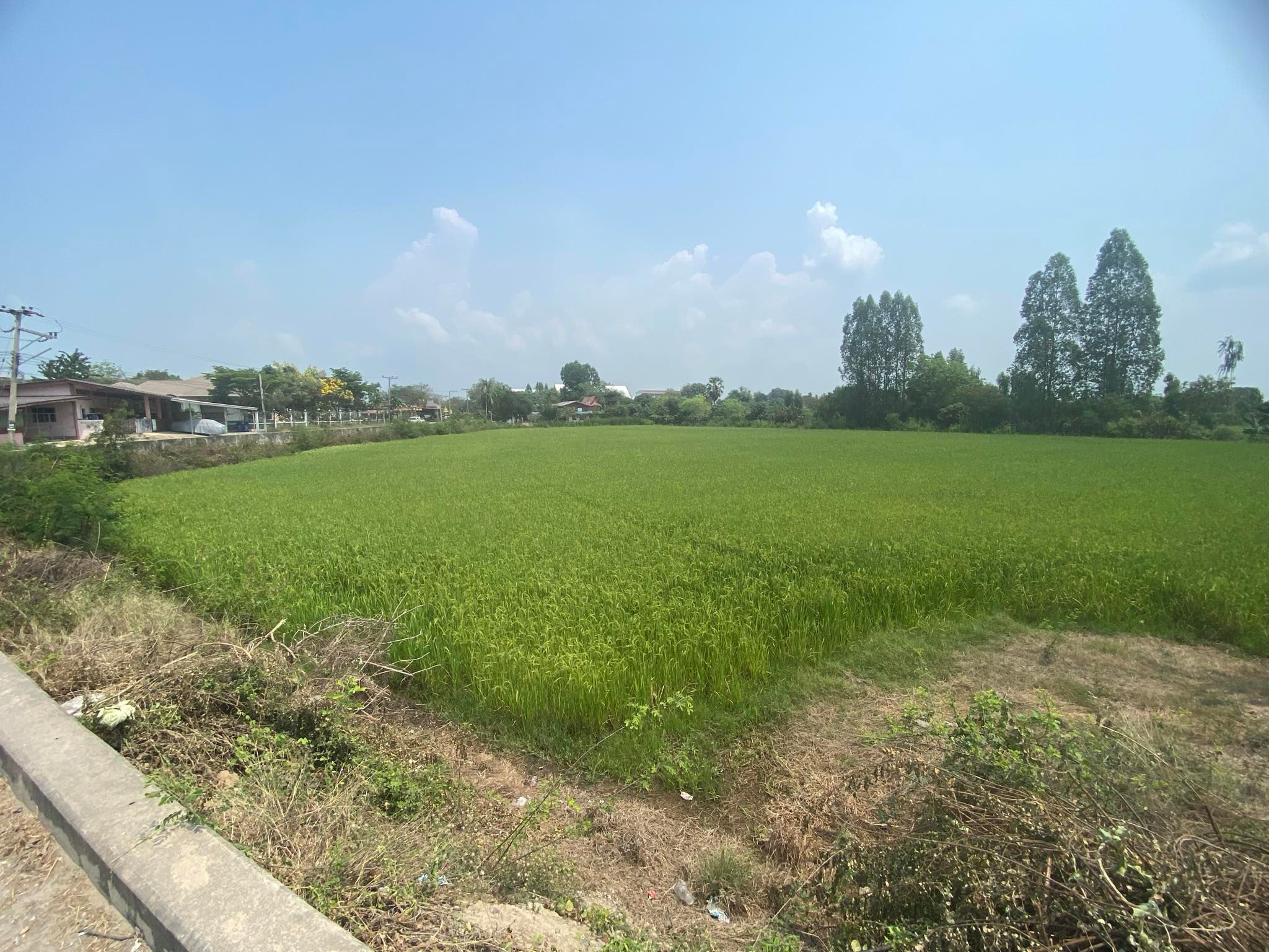 ที่ดินติดคลองชลประทาน