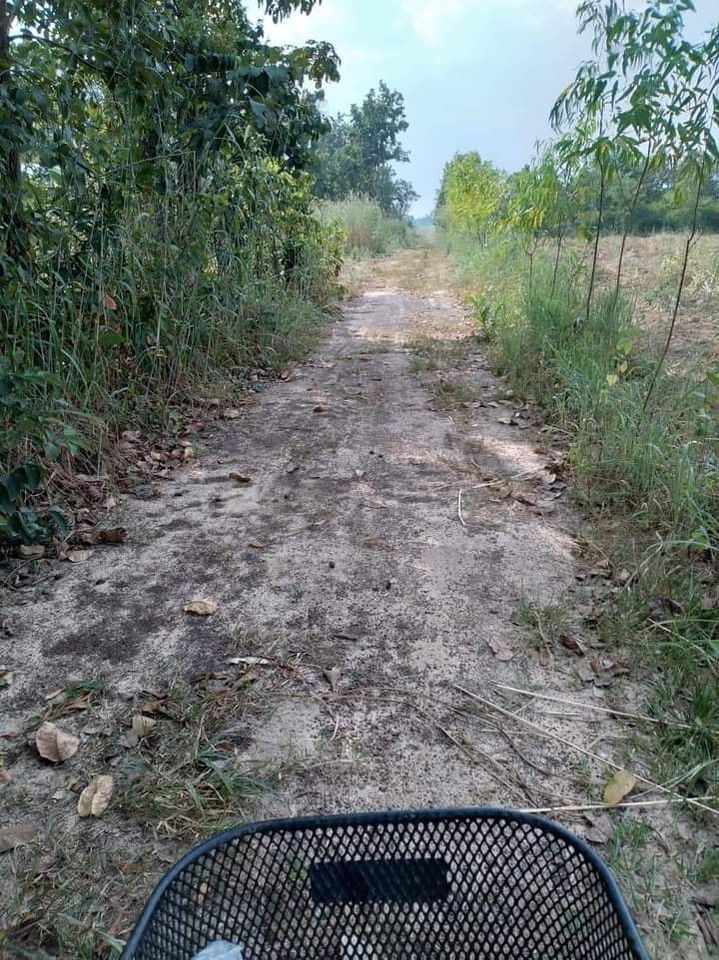 ขายที่ดิน สกลนคร 20-0-34 ไร่