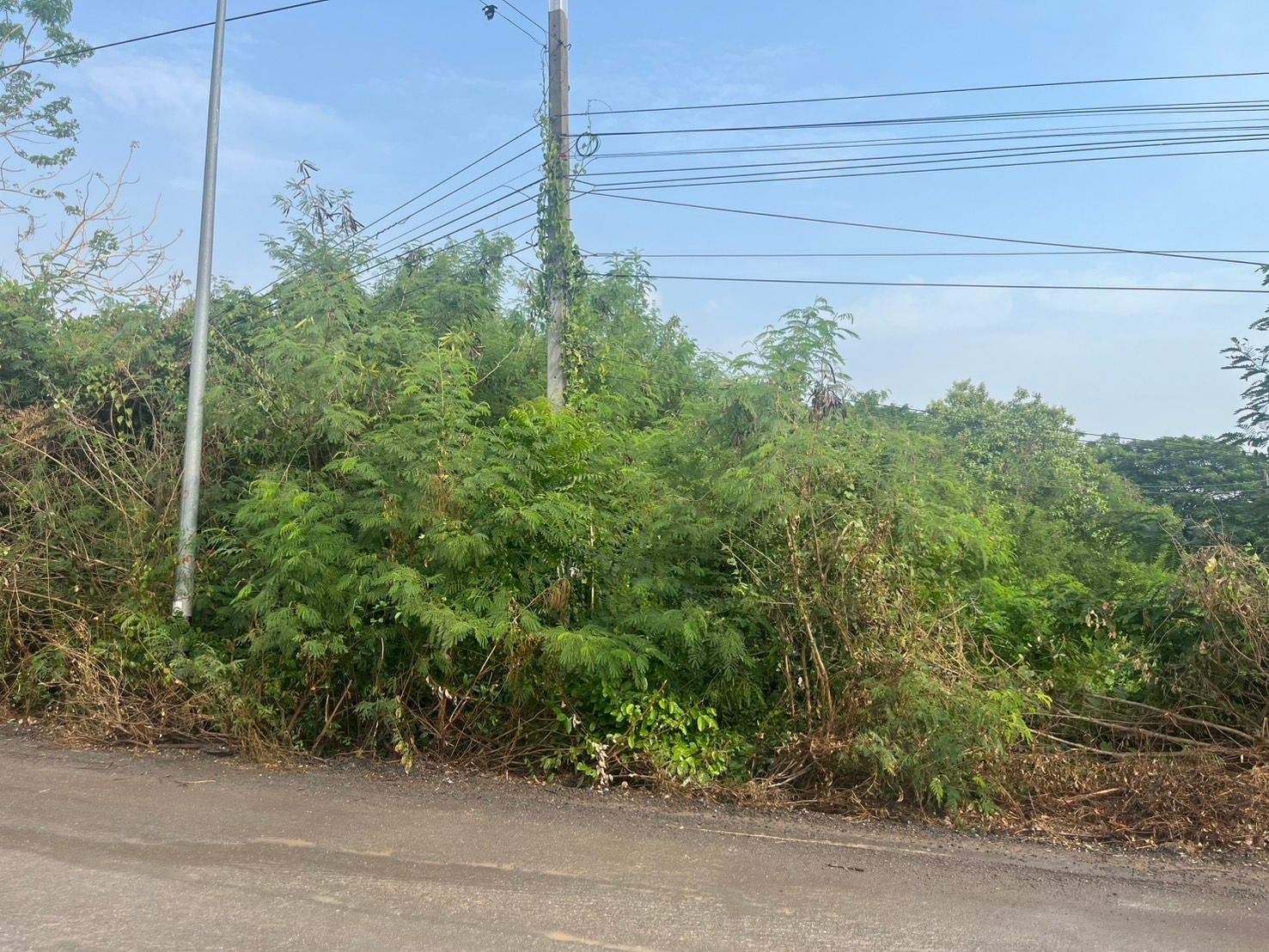 ขายที่ดินเปล่า 1 ไร่ ใกล้ตลาด อ.อุทัย