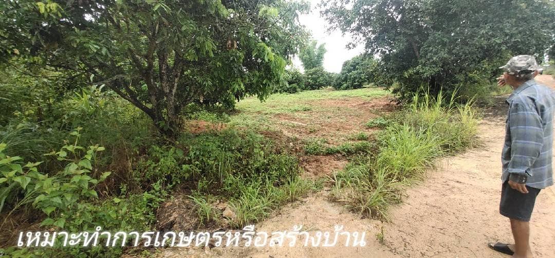 ขายที่ดินลำพูน ทุ่งหัวช้าง 1-3-30.3ไร่