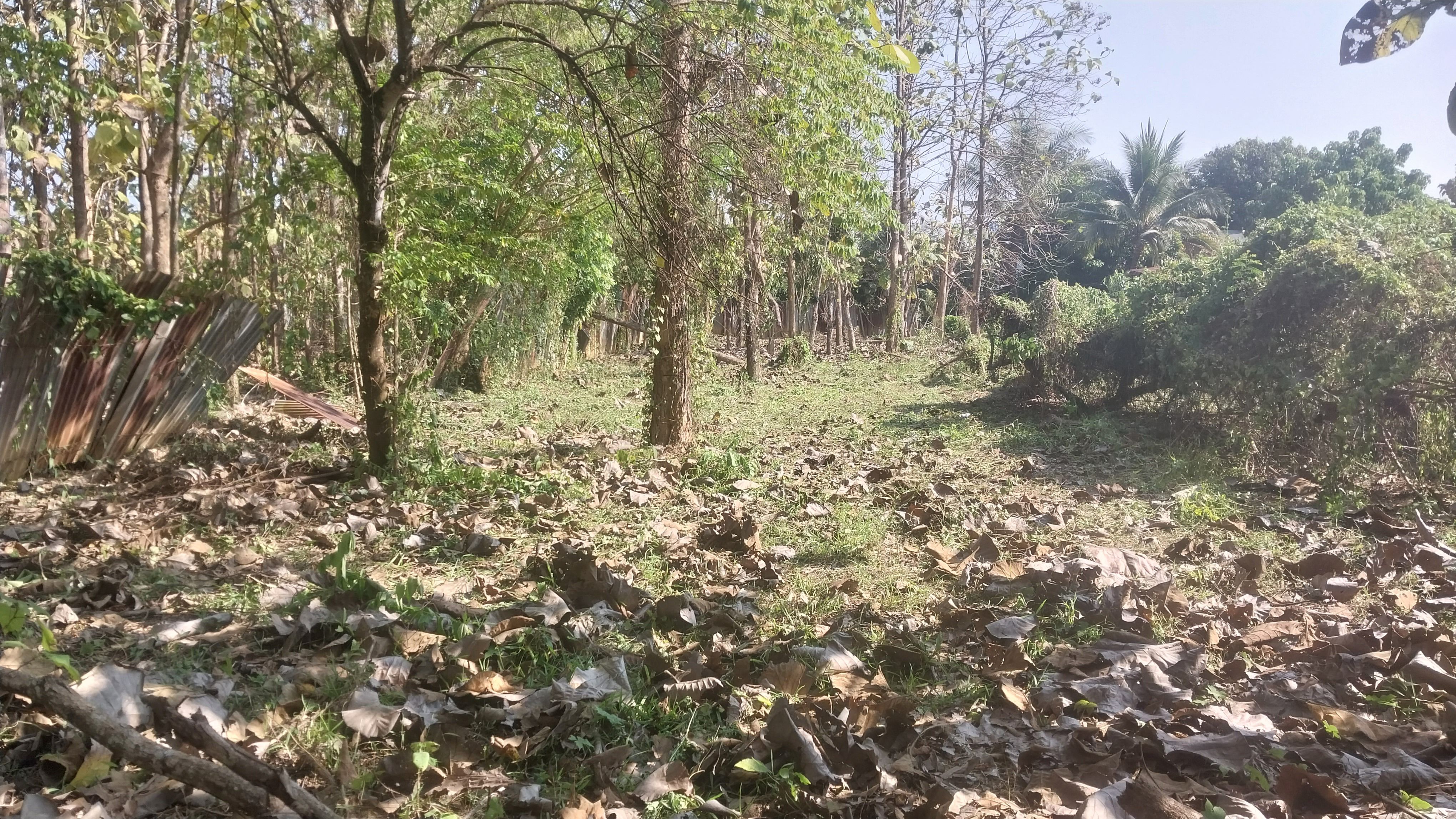 ที่ดิน 295 ตรว. ทำที่อยู่อาศัย อ.สูงเม่น จ.แพร่