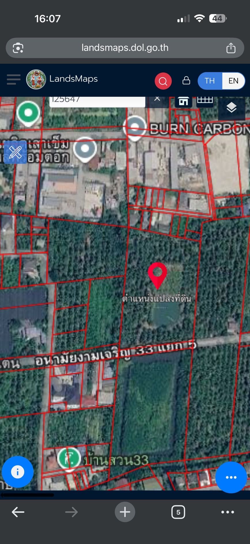 ขายสวนมะพร้าว 7 ไร่ พระราม 2 บรรยากาศดี เหมาะทำคาเฟ่/บ้านพัก
