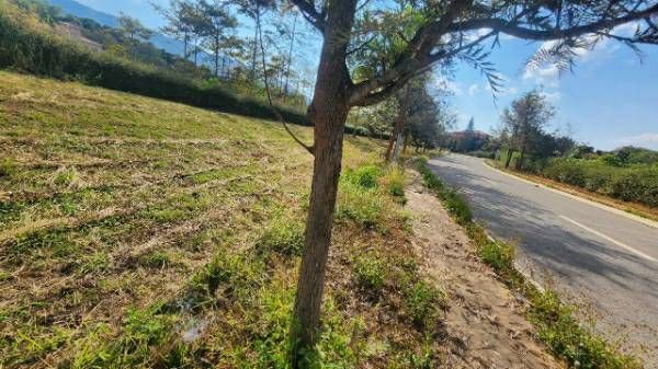 ขายที่ดินทอสคาน่า Exclusive zone | ริมเขา | ติดทะเลสาบ 0-3-68 ไร่. | ตร.วา@ 39,500บ.L056