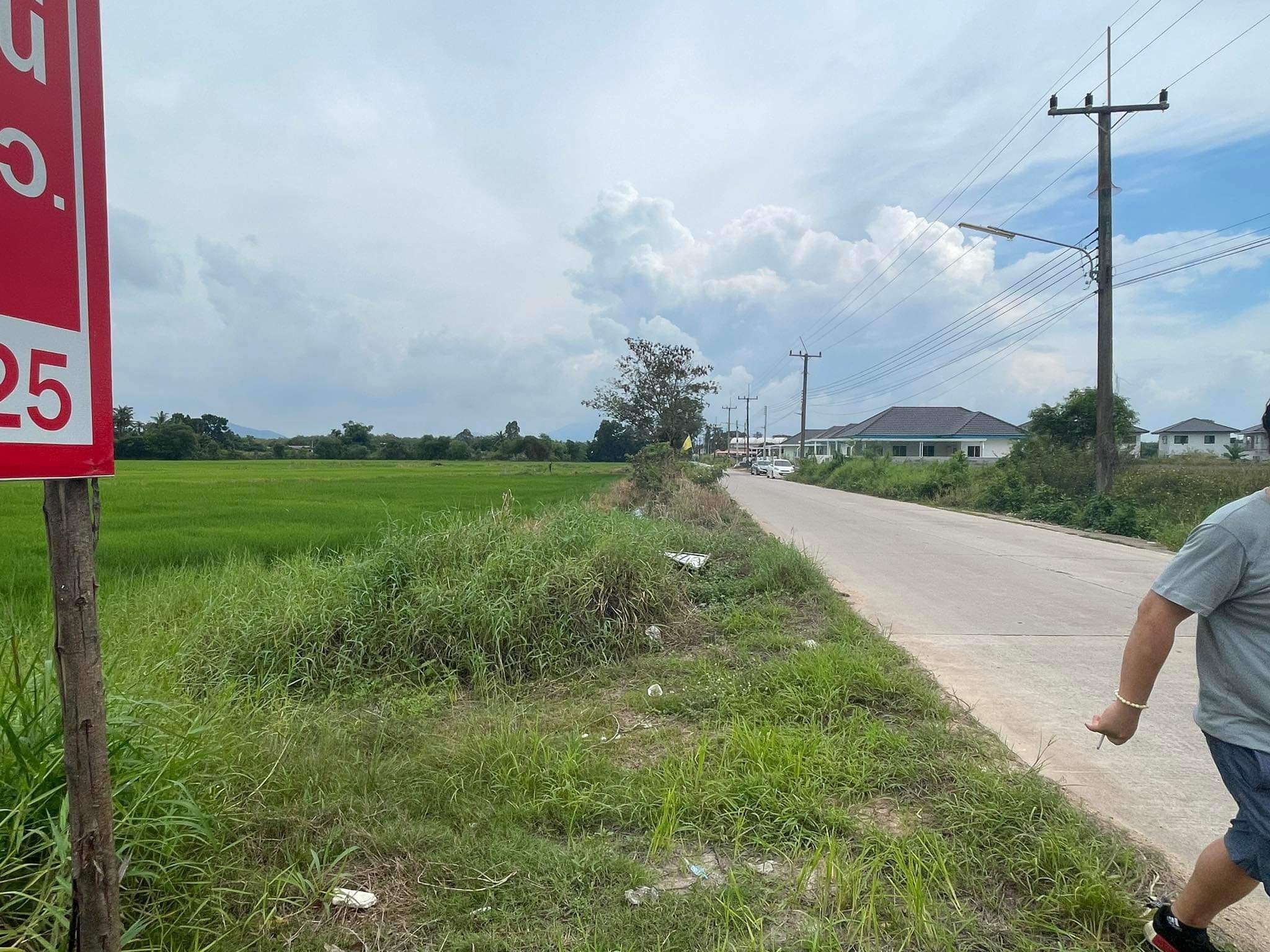 ที่ดิน